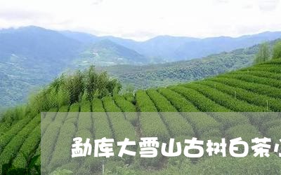 勐库大雪山古树白茶小饼/2023082686049