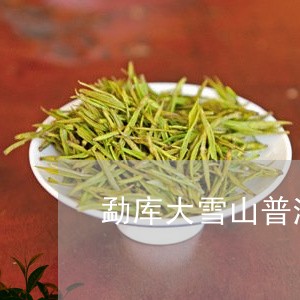 勐库大雪山普洱茶毛茶/2023061907061