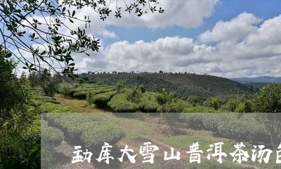 勐库大雪山普洱茶汤色/2023061407383