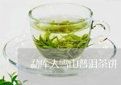 勐库大雪山普洱茶饼/2023120538282