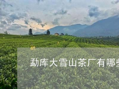 勐库大雪山茶厂有哪些/2023071371514