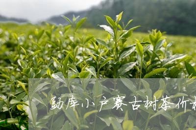 勐库小户赛古树茶价格/2023061031736