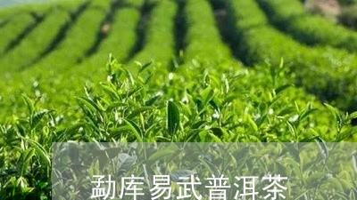 勐库易武普洱茶/2023112647289