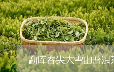 勐库春尖大雪山普洱茶/2023072125938