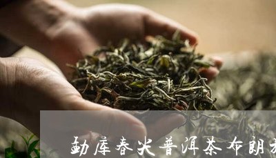 勐库春尖普洱茶布朗族/2023061413969