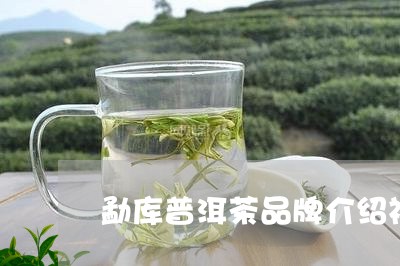 勐库普洱茶品牌介绍视频/2023120770604