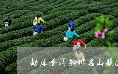 勐库普洱茶排名山头图/2023110514941