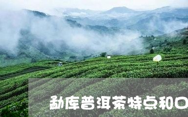 勐库普洱茶特点和口感/2023062341726