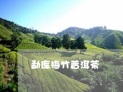 勐库梅竹普洱茶/2023081504048