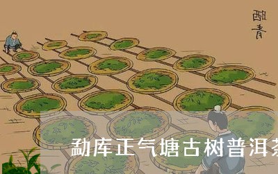 勐库正气塘古树普洱茶/2023112403037