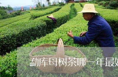 勐库母树茶哪一年最好/2023071576049