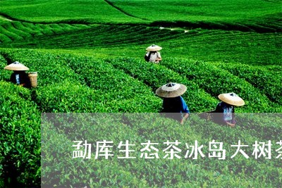 勐库生态茶冰岛大树茶/2023061250936