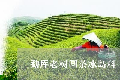 勐库老树圆茶冰岛料/2023042623731