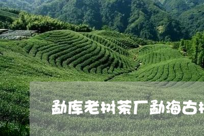 勐库老树茶厂勐海古树茶厂/2023051214058