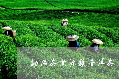 勐库茶业源头普洱茶/2023121537471