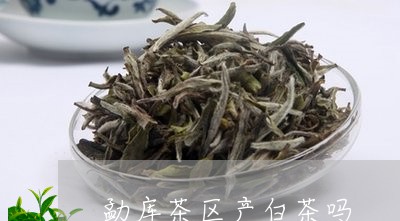 勐库茶区产白茶吗/2023061538380