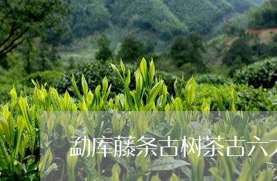 勐库藤条古树茶古六大茶山莽枝特点/2023060405969