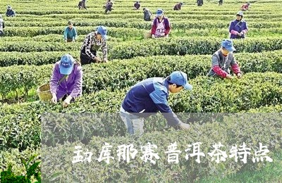 勐库那赛普洱茶特点/2023112580804