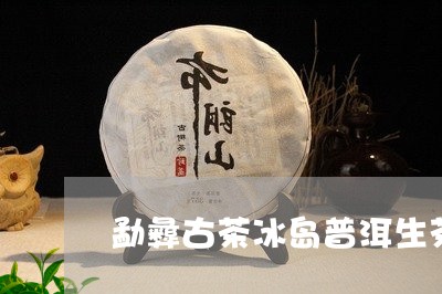 勐彝古茶冰岛普洱生茶/2023061410594