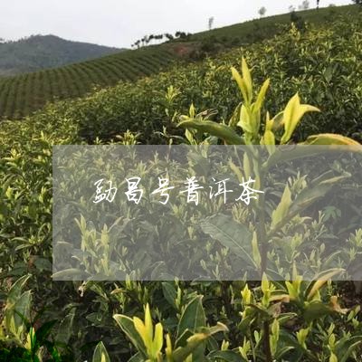 勐昌号普洱茶/2023042994839