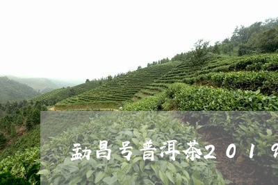 勐昌号普洱茶2019/2023100577162