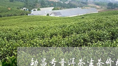 勐昌号普洱茶生茶价格/2023062231706