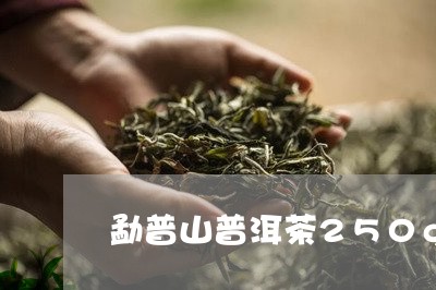 勐普山普洱茶250g/2023061649672