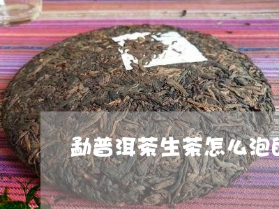 勐普洱茶生茶怎么泡的/2023082527372