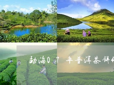 勐海07年普洱茶饼价格/2023112784927