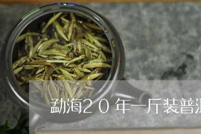 勐海20年一斤装普洱茶/2023112522606