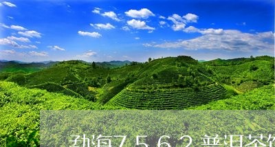 勐海7562普洱茶饼/2023080363815