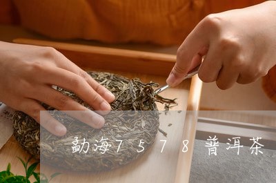 勐海7578普洱茶/2023070983036