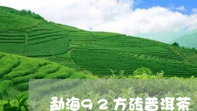 勐海92方砖普洱茶/2023112741894