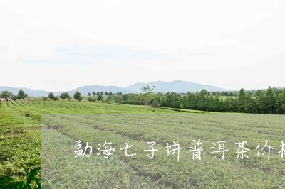 勐海七子饼普洱茶价格景松山/2023110543835