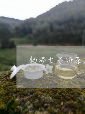 勐海七子饼茶357克/2023061152925