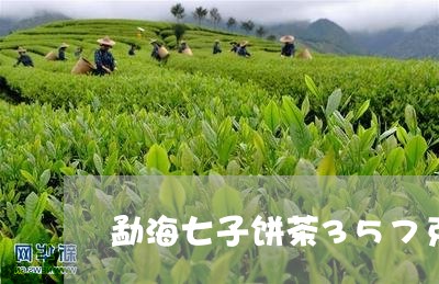 勐海七子饼茶357克多少钱布朗山/2023060496172