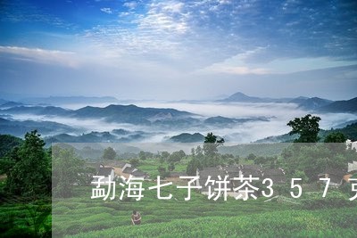 勐海七子饼茶357克经典最贵/2023053180535