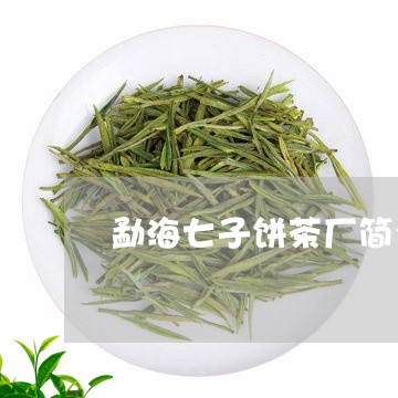 勐海七子饼茶厂简介/2023042600591