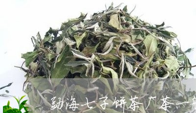 勐海七子饼茶厂茶一般泡几泡/2023052615059