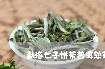 勐海七子饼茶普洱熟茶/2023061335079