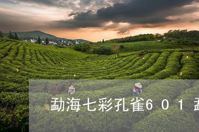 勐海七彩孔雀601勐海孔雀为什么/2023060443038