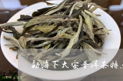 勐海下大安普洱茶特点/2023080177390