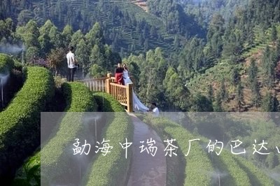 勐海中瑞茶厂的巴达山价格/2023051108251