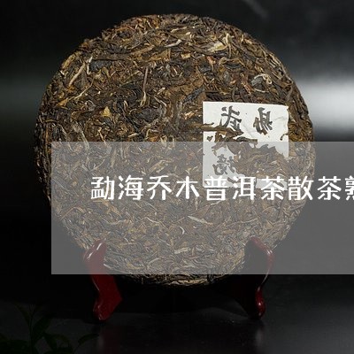 勐海乔木普洱茶散茶熟茶/2023081497271