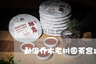 勐海乔木老树圆茶宫廷茶茶王多少钱/2023060415480