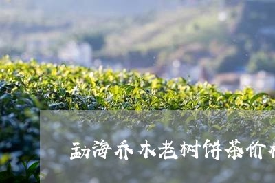 勐海乔木老树饼茶价格/2023071615157