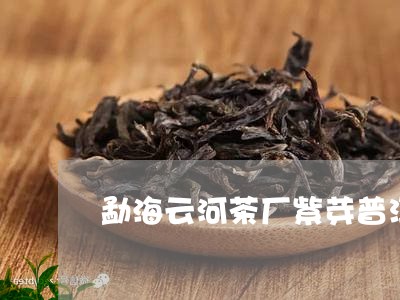 勐海云河茶厂紫芽普洱茶/2023082783838