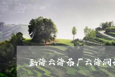 勐海云海茶厂云海涧茶叶价格/2023052764048