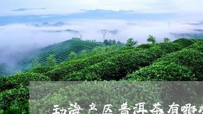 勐海产区普洱茶有哪些/2023062225259