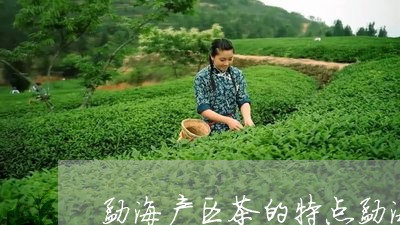 勐海产区茶的特点勐海布朗古树茶厂/2023060471582